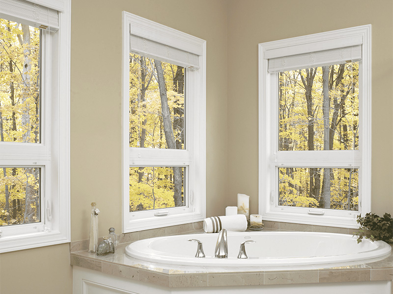 bathroom window replacement improving natural light ventilation and moisture resistance for coastal Carolina home environment