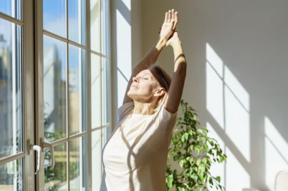 Ultimate Guide to Elevating Your Raleigh Durham Home with Windows
