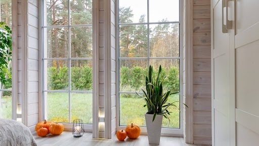 5 Tips for the Best Leaf Peeping This Fall