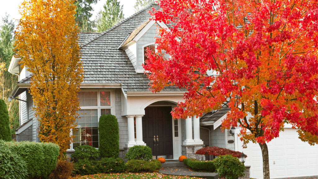 Why Fall is the Perfect Time to Replace Your Windows in North Carolina