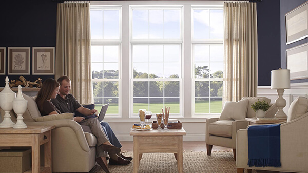 Double Hung Windows Banner Image